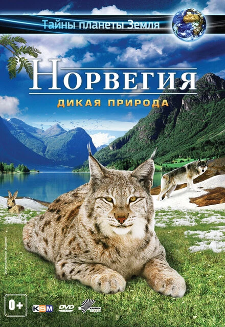 Постер Норвегия 3D: Дикая природа 2013