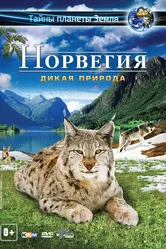 Норвегия 3D: Дикая природа 2013 постер