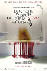 La noche después de que mi novia me dejara постер