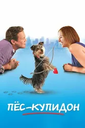 Пес-купидон 2012 постер