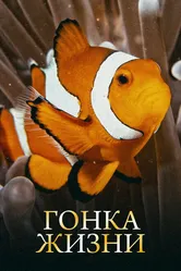 Гонка жизни 2015 постер