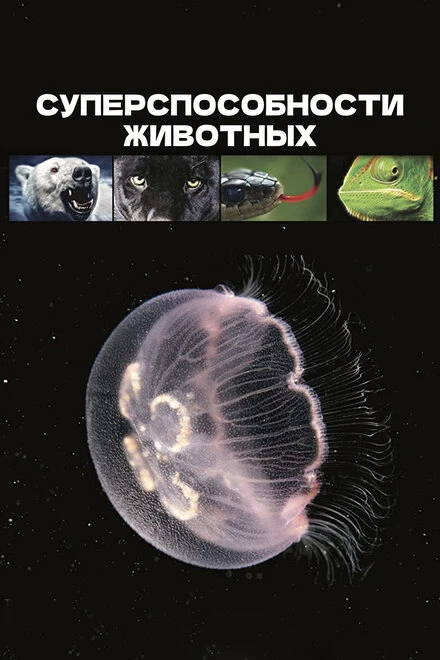 Постер Суперспособности животных 2015