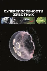 Суперспособности животных 2015 постер