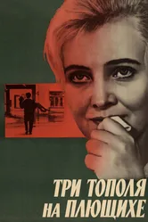 Три тополя на Плющихе 1968 постер