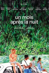 Un mois après la nuit постер