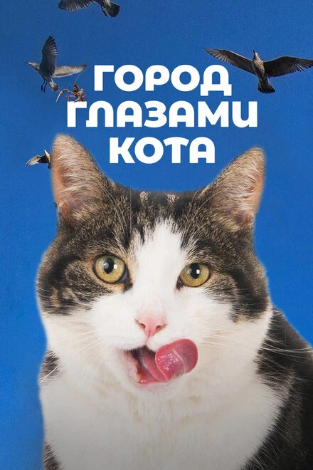 Постер Город глазами кота 2018