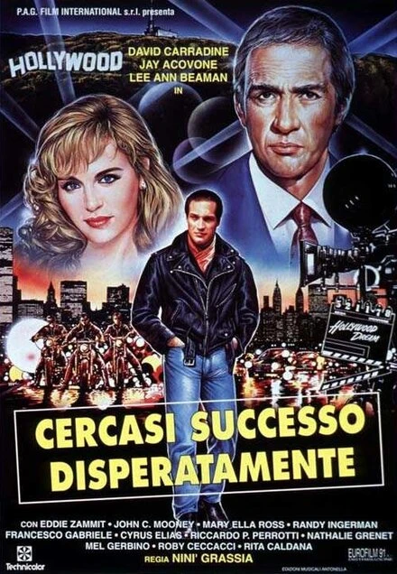 Постер Отчаянный поиск успеха 1994