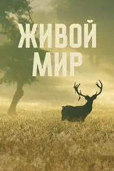 Живой мир 2023 постер