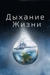 Дыхание жизни 2014 постер