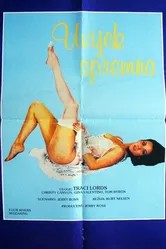 Идеальная совместимость 1985 постер