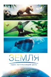 Земля: Один потрясающий день 2017 постер