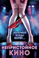 Непристойное кино 2009 постер