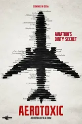 American 965 постер
