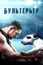 Бультерьер 2022 постер