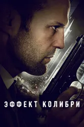 Эффект колибри 2012 постер