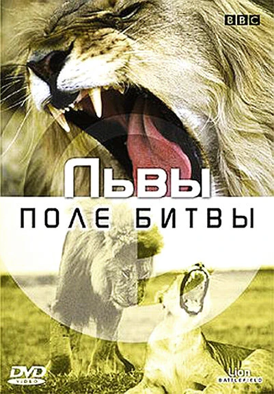 Постер BBC: Львы. Поле битвы 2002