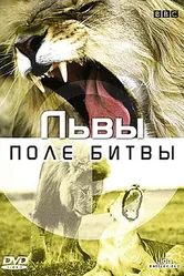 BBC: Львы. Поле битвы 2002 постер