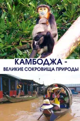 Камбоджа — великие сокровища природы 2013 постер