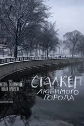 Сталкер любимого города 2024 постер