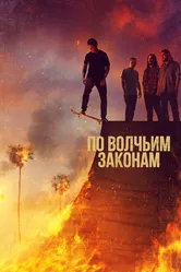 По волчьим законам 2016 постер