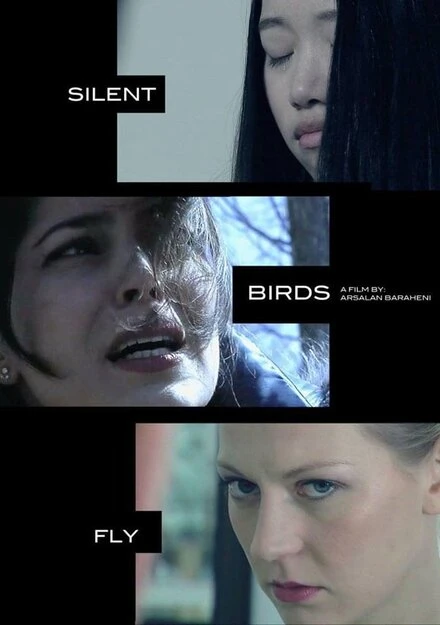 Постер Migrant Birds Fly