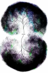 Mind Inc постер