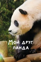 Мой друг панда 2024 постер