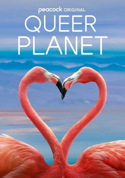 Постер Queer Planet