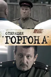 Операция «Горгона» 2011 постер
