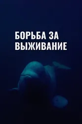 Борьба за выживание 2017 постер