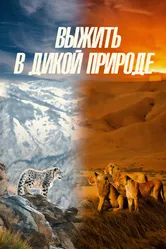 Выжить в дикой природе 2016 постер