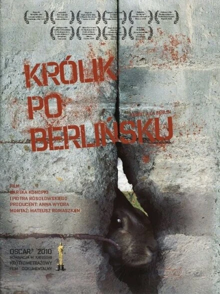 Постер Кролик по-берлински 2009