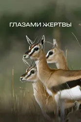 Глазами жертвы 2019 постер
