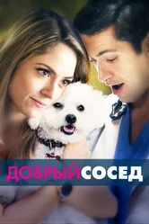 Добрый сосед 2017 постер