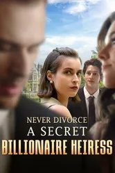 Never Divorce a Secret Billionaire Heiress постер