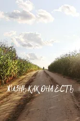 Жизнь как она есть 2024 постер