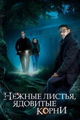 Нежные листья, ядовитые корни 2019 постер