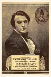 Яркая шаль 1923 постер