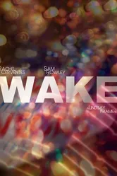Wake null, США постер