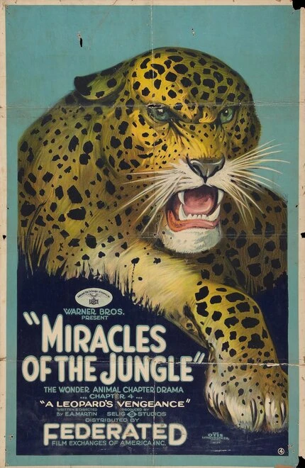 Постер Miracles of the Jungle