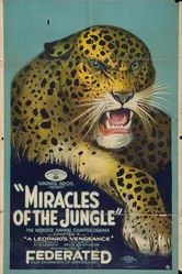Miracles of the Jungle постер