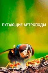 Пугающие артроподы 2020 постер