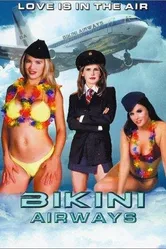 Авиалинии бикини 2003 постер