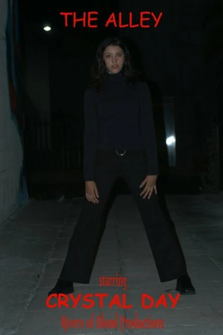 Постер The Alley
