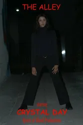 The Alley постер