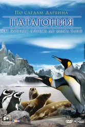 Патагония: По следам Дарвина 3D 2012 постер