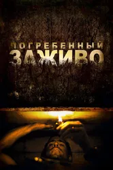 Погребенный заживо 2010 постер