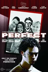 Perfect 2006 постер
