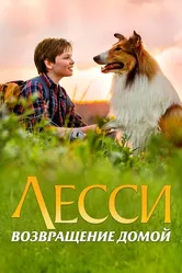 Лесси. Возвращение домой 2020 постер