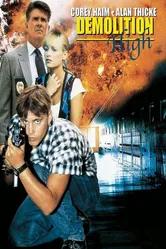 Тротиловая школа 1996 постер